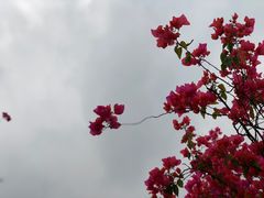 -188西餐厅(园林宾馆店)