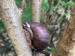 -晓港公园
