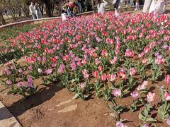 -石家庄市植物园