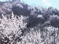 -居庸关长城