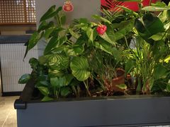 -管氏翅吧(地安门创始店)