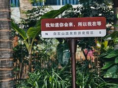 -白桦林温泉谷