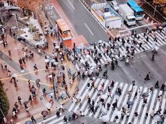 -涩谷全向十字路口