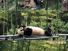 -天目湖涵田度假村
