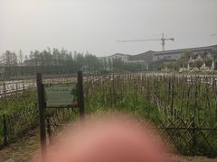 -乌村