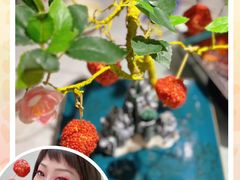 -嘉缤苑
