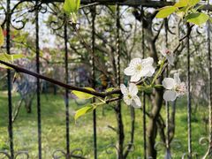 -南汇桃花村