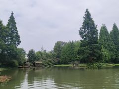 -桤木河湿地公园