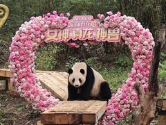 -广州长隆野生动物世界