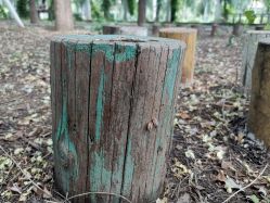 -优沃得自然教育农场·冰雪乐园·生日会·研学