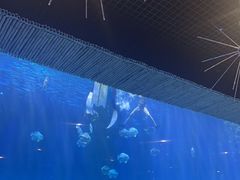 -西安华夏文旅水世界