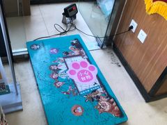 -瑞派雷欧宠物医院·中兽医·眼科·急重症转诊中心(黄台店)