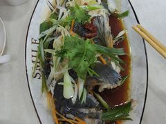 -人和啤酒屋海鲜大排档(营口路店)