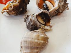 海螺-抹直口特色菜馆(一店)