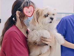 -美联众合动物医院·24h转诊中心