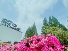 -龙华寺