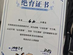 -达爱动物医院·犬猫分区·CT·复杂眼科(远洋山水分院)