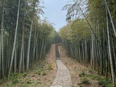 -莫干山风景区