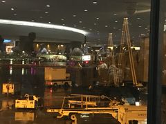 -纽瓦克自由国际机场