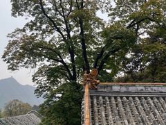 -潭柘寺景区