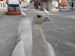 -金庭庄园酒店-停车场