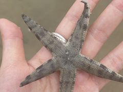 -129老爸茶丨清补凉