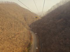 -栾川竹海野生动物园