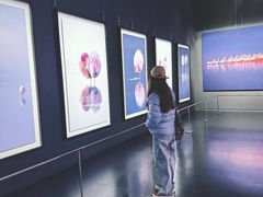 -罗红摄影艺术馆