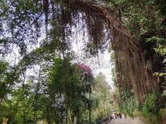 -中山纪念堂