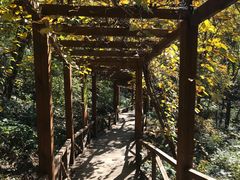 -大岭沟猕猴桃谷风景区