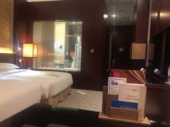 -北京首都机场希尔顿酒店