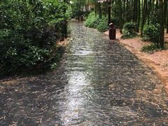 -天目湖涵田半山温泉