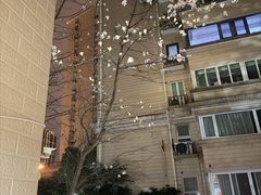-霖公馆SPA·足道(普善路店)