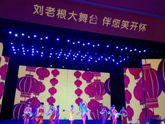 -刘老根大舞台-长春旗舰店