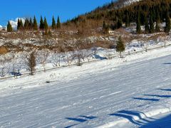 -东方巨龟苑景区