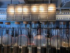 -喜茶(佛山顺德大良东乐路店)