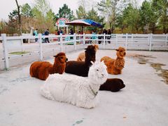 -齐齐哈尔龙沙动植物园