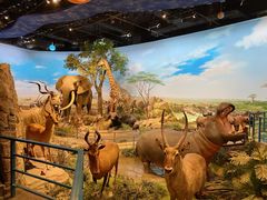 -陕西自然博物馆