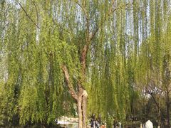 -西安青龙寺遗址景区