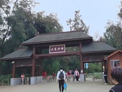-大京沙滩