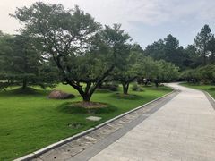 -东方绿舟景区