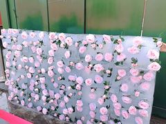 -张学良旧居陈列馆(大帅府)