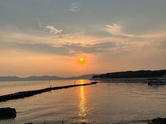 -上海市保健医疗中心