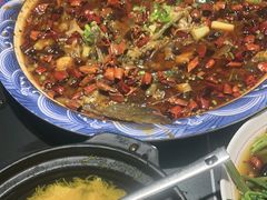 -新概念来凤鱼(璧山店)