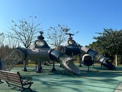 -森波拉奇妙世界