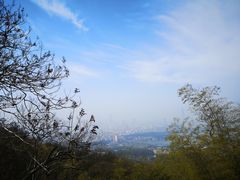 -紫金山天文台