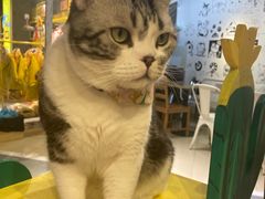-小时光咖啡馆(开森度假森林店)