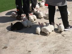 -南戴河国际娱乐中心