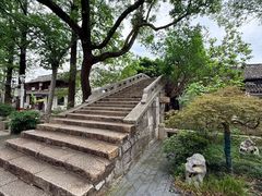 -练塘古镇