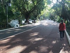 -南宁南湖公园